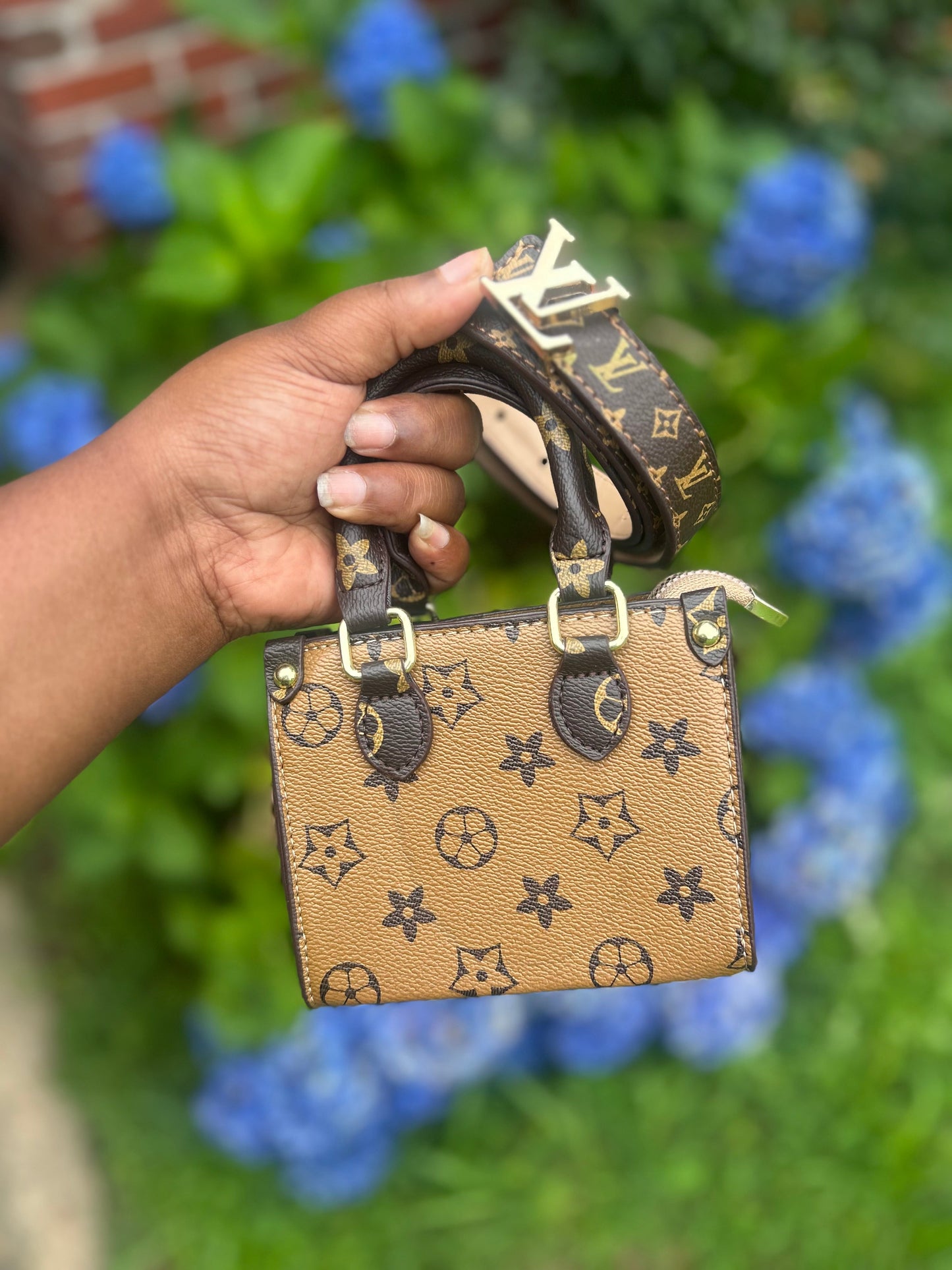 LV mini bag set