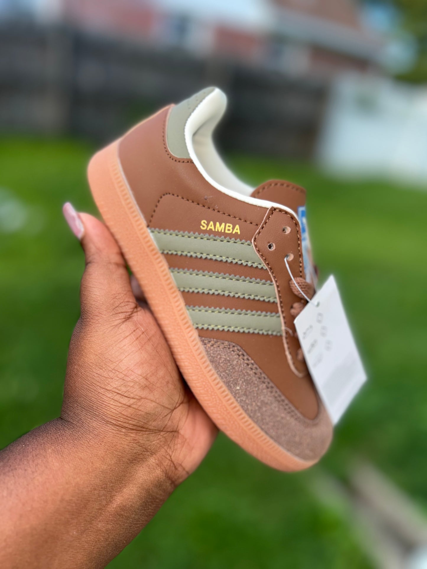 “Beef & Broccoli” Samba
