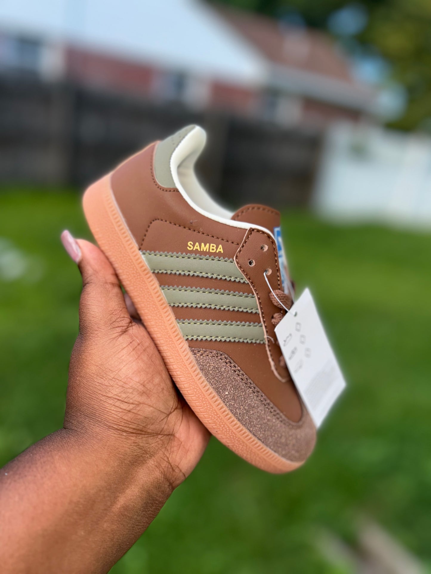 “Beef & Broccoli” Samba