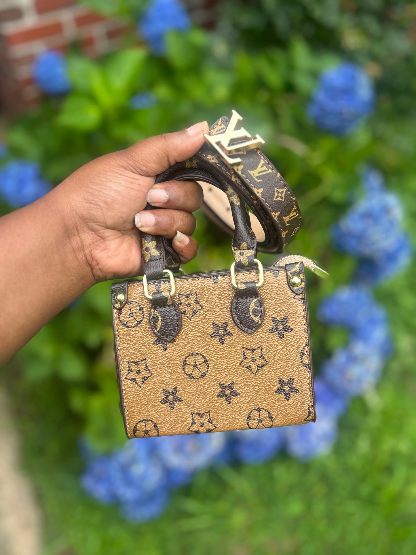LV mini bag set